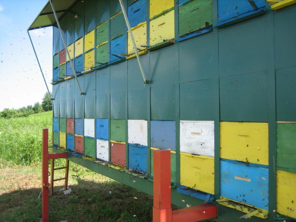 Guesthouse Andja สโมลยานัซ ภายนอก รูปภาพ